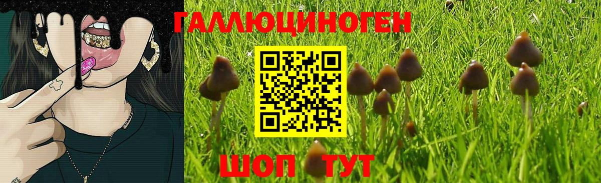 Галлюциногенные грибы ЛСД Борисоглебск