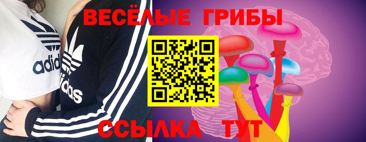 Борисоглебск  Галлюциногенные грибы мухоморы  наркотики  Вход с VPN 